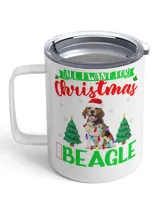 Insulated Mug