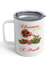 Insulated Mug