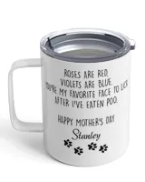 Insulated Mug