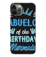 Snap Case - iP 12