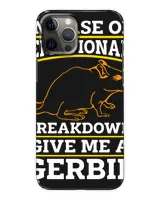 Snap Case - iP 12