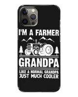 Snap Case - iP 12