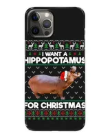 Snap Case - iP 12