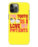 Snap Case - iP 12