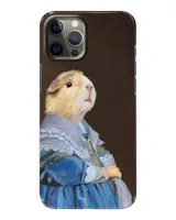Snap Case - iP 12