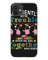 Snap Case - iP 12 mini