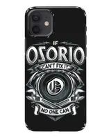 Snap Case - iP 12 mini