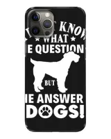 Snap Case - iP 12 Pro Max