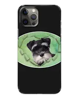 Snap Case - iP 12 Pro Max