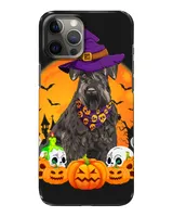 Snap Case - iP 12 Pro Max