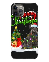 Snap Case - iP 12 Pro Max