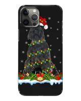 Snap Case - iP 12 Pro Max