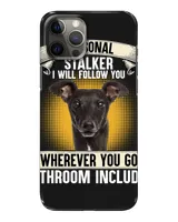 Snap Case - iP 12 Pro Max