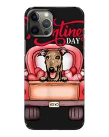 Snap Case - iP 12 Pro Max