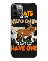 Snap Case - iP 12 Pro Max
