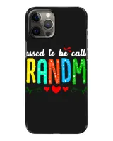 Snap Case - iP 12 Pro Max