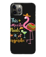 Snap Case - iP 12 Pro Max
