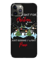 Snap Case - iP 12 Pro Max