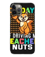 Snap Case - iP 12 Pro Max