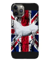 Snap Case - iP 12 Pro Max