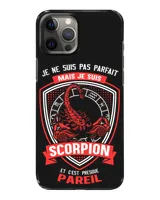 Snap Case - iP 12 Pro Max