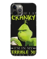 Snap Case - iP 12 Pro Max