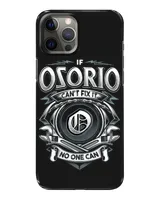 Snap Case - iP 12 Pro Max