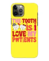 Snap Case - iP 12 Pro Max