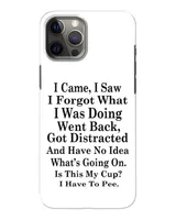 Snap Case - iP 12 Pro Max
