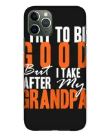 Snap Case - iP 11 Pro