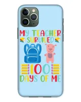 Snap Case - iP 11 Pro
