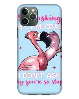 Snap Case - iP 11 Pro