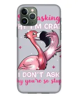 Snap Case - iP 11 Pro