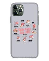 Snap Case - iP 11 Pro