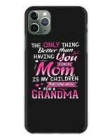 Snap Case - iP 11 Pro Max