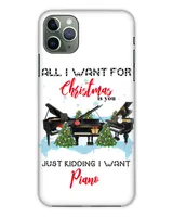 Snap Case - iP 11 Pro Max