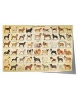 Satin Landscape Poster