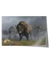 Satin Landscape Poster