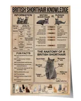 British Shorthair Knowledge