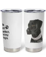 Full Printed Stainless Steel Tumbler (20oz)