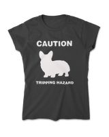 Women's Soft Style T-Shirt