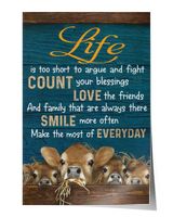 cow Life Is