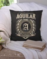 AGUILAR Cotton Drill Pillow (Dual Sided) black 16x16in