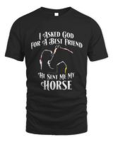 I ask god for a best friend he sent me a horse Unisex Standard T-Shirt black s