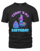 Unisex Premium T-Shirt Unisex Premium T-Shirt
