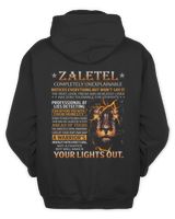 Men's Zip Hoodie