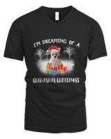 Men's V-Neck T-Shirt Men's V-Neck T-Shirt