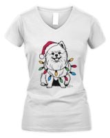 Women's V-Neck T-Shirt Women's V-Neck T-Shirt