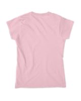 all women are created equal but only the coolest go running tees Women's Standard T-Shirt light-pink s