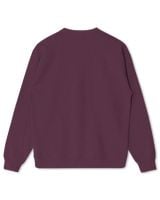 USL-94-Peters Kids Standard Sweatshirt maroon xs